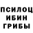 Галлюциногенные грибы прущие грибы Lauren Barnes