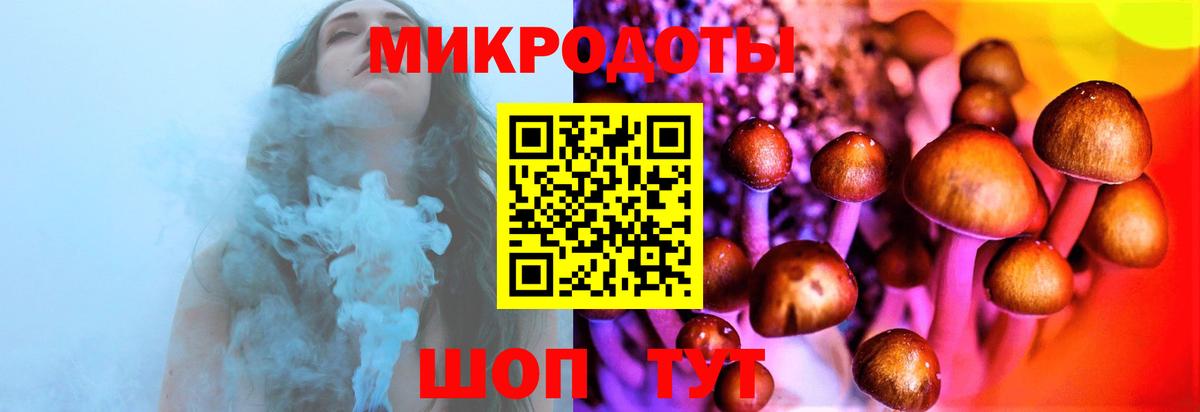 продажа наркотиков  Вход с VPN  Псилоцибиновые грибы прущие грибы  Ревда  Галлюциногенные грибы мухоморы 